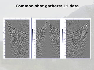 Common shot gathers: L1 data

 