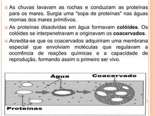  As chuvas lavavam as rochas e conduziam as proteínas
para os mares. Surgia uma "sopa de proteínas" nas águas
mornas dos mares primitivos.
 As proteínas dissolvidas em água formavam colóides. Os
colóides se interpenetravam e originavam os coacervados.
 Acredita-se que os coacervados adquiriram uma membrana
especial que envolviam moléculas que regulavam a
ocorrência de reações químicas e a capacidade de
reprodução, formando assim o primeiro ser vivo.
 