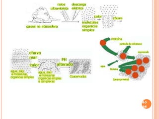 Gases (vapor de água + metano + amônia + hidrogênio +
raios ultravioleta e descargas elétricas --> aminoácidos +
outros compostos orgânicos + chuva levados para os mares
--> "sopa química" ou "caldo nutritivo" --> formação de
coacervados (compostos orgânicos reunidos) -> formação
de protegenes (genes; primitivos) reunidos por membranas
lipoprotéicas --> células primitivas (heterotróficas
aeróbias)
 