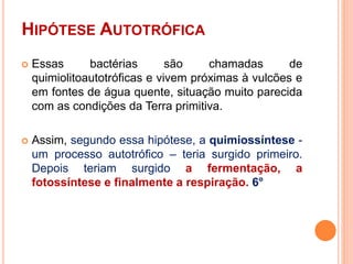 HIPÓTESE AUTOTRÓFICA
 Essas bactérias são chamadas de
quimiolitoautotróficas e vivem próximas à vulcões e
em fontes de água quente, situação muito parecida
com as condições da Terra primitiva.
 Assim, segundo essa hipótese, a quimiossíntese -
um processo autotrófico – teria surgido primeiro.
Depois teriam surgido a fermentação, a
fotossíntese e finalmente a respiração. 6°
 