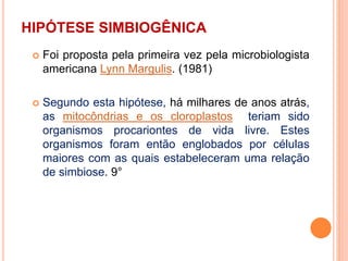 HIPÓTESE SIMBIOGÊNICA
 Foi proposta pela primeira vez pela microbiologista
americana Lynn Margulis. (1981)
 Segundo esta hipótese, há milhares de anos atrás,
as mitocôndrias e os cloroplastos teriam sido
organismos procariontes de vida livre. Estes
organismos foram então englobados por células
maiores com as quais estabeleceram uma relação
de simbiose. 9°
 