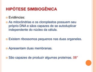 HIPÓTESE SIMBIOGÊNICA
 Evidências:
 As mitocôndrias e os cloroplastos possuem seu
próprio DNA e sãos capazes de se autoduplicar
independente do núcleo da célula.
 Existem ribossomos pequenos nas duas organelas.
 Apresentam duas membranas.
 São capazes de produzir algumas proteínas. 08°
 