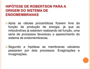 HIPÓTESE DE ROBERTSON PARA A
ORIGEM DO SISTEMA DE
ENDOMEMBRANAS
 Após as células procarióticas ficarem livre da
função de produção de energia, já que as
mitocôndrias já estariam realizando tal função, uma
serie de processos favoreceu o aparecimento do
sistema de endomembranas.
 Segundo a hipótese as membranas celulares
passaram por dois processos: Evaginações e
Invaginações.
 