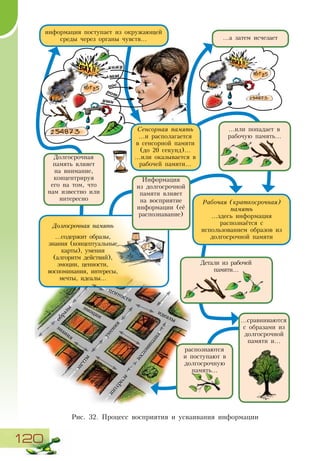 120
информация поступает из окружающей
среды через органы чувств…
Сенсорная память
…и располагается
в сенсорной памяти
(до 20 секунд)…
…или оказывается в
рабочей памяти…
…а затем исчезает
Рабочая (краткосрочная)
память
…здесь информация
распознаётся с
использованием образов из
долгосрочной памяти
Долгосрочная память
…содержит образы,
знания (концептуальные
карты), умения
(алгоритм действий),
эмоции, ценности,
воспоминания, интересы,
мечты, идеалы…
Рис. 32. Процесс восприятия и усваивания информации
образы
знания
умения
эмоции
ценности
воспоминания
интересы
мечты
идеалы
...или попадает в
рабочую память...
Информация
из долгосрочной
памяти влияет
на восприятие
информации (её
распознавание)
Долгосрочная
память влияет
на внимание,
концентрируя
его на том, что
нам известно или
интересно
Детали из рабочей
памяти…
распознаются
и поступают в
долгосрочную
память…
…сравниваются
с образами из
долгосрочной
памяти и…
нос
кожу
глаза
уши
рот
 