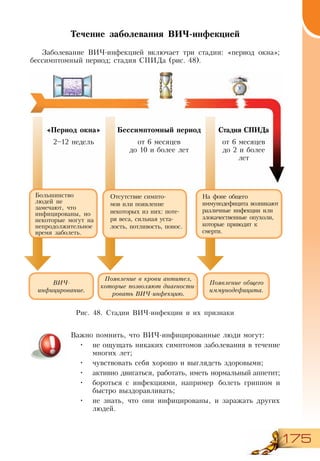 175
Течение заболевания ВИЧ-инфекцией
Заболевание ВИЧ-инфекцией включает три стадии: «период окна»;
бессимптомный период; стадия СПИДа (рис. 48).
Важно помнить, что ВИЧ-инфицированные люди могут:
•	 не ощущать никаких симптомов заболевания в течение
многих лет;
•	 чувствовать себя хорошо и выглядеть здоровыми;
•	 активно двигаться, работать, иметь нормальный аппетит;
•	 бороться с инфекциями, например болеть гриппом и
быстро выздоравливать;
•	 не знать, что они инфицированы, и заражать других
людей.
«Период окна»
2–12 недель
Бессимптомный период
от 6 месяцев
до 10 и более лет
Стадия СПИДа
от 6 месяцев
до 2 и более
лет
На фоне общего
иммунодефицита возникают
различные инфекции или
злокачественные опухоли,
которые приводят к
смерти.
Отсутствие симпто-
мов или появление
некоторых из них: поте-
ря веса, сильная уста-
лость, потливость, понос.
Большинство
людей не
замечают, что
инфицированы, но
некоторые могут на
непродолжительное
время заболеть.
Появление в крови антител,
которые позволяют диагности-
ровать ВИЧ-инфекцию.
Появление общего
иммунодефицита.
ВИЧ-
инфицирование.
Рис. 48. Стадии ВИЧ-инфекции и их признаки
 