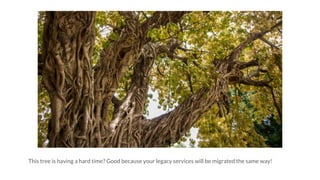 This tree is having a hard time? Good because your legacy services will be migrated the same way!
 