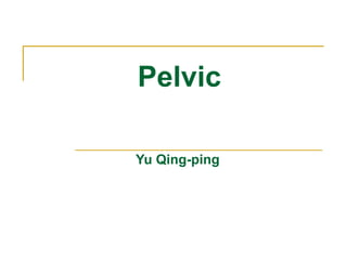 Pelvic
Yu Qing-ping
 