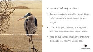 9 Photography Techniques That Every Beginner Should Practice