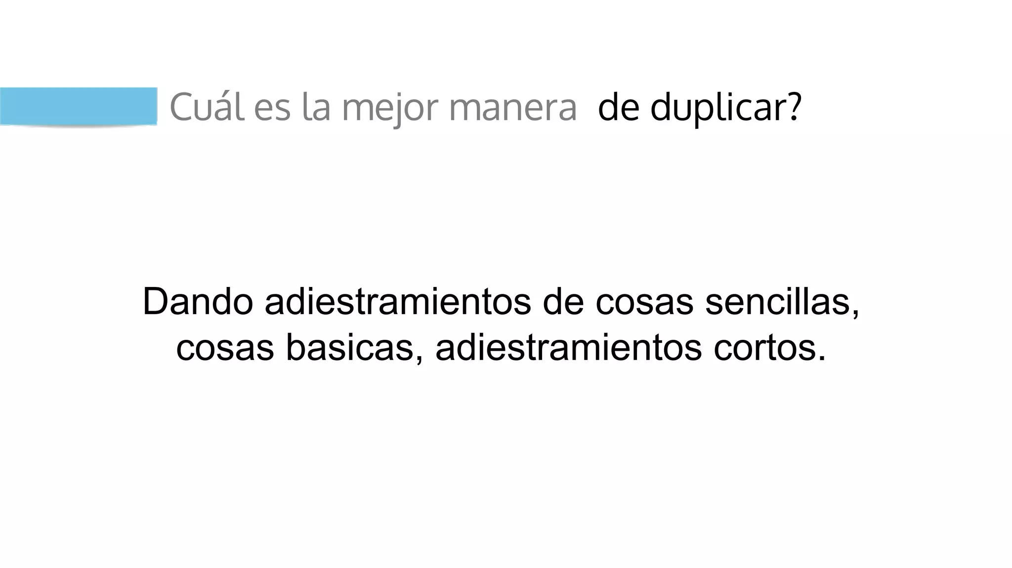 Cuál es la mejor manera de duplicar?
Dando adiestramientos de cosas sencillas,
cosas basicas, adiestramientos cortos.
 