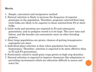 Population dev by Pedigree Back bulk methods.pptx