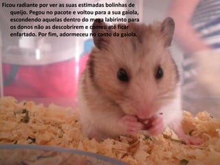 Ficou radiante por ver as suas estimadas bolinhas de
   queijo. Pegou no pacote e voltou para a sua gaiola,
   escondendo aquelas dentro do mega labirinto para
   os donos não as descobrirem e comeu até ficar
   enfartado. Por fim, adormeceu no canto da gaiola.
 