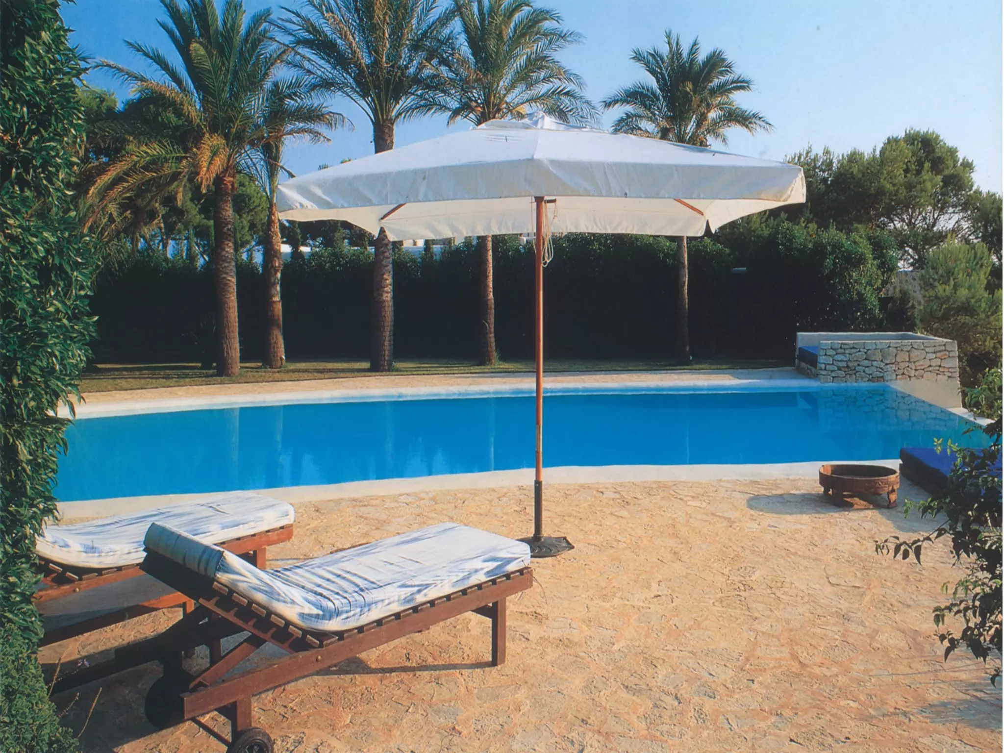 一、跳出来的起源 新鸿基的游泳池 