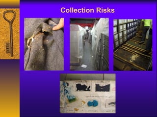Collection Risks 
 