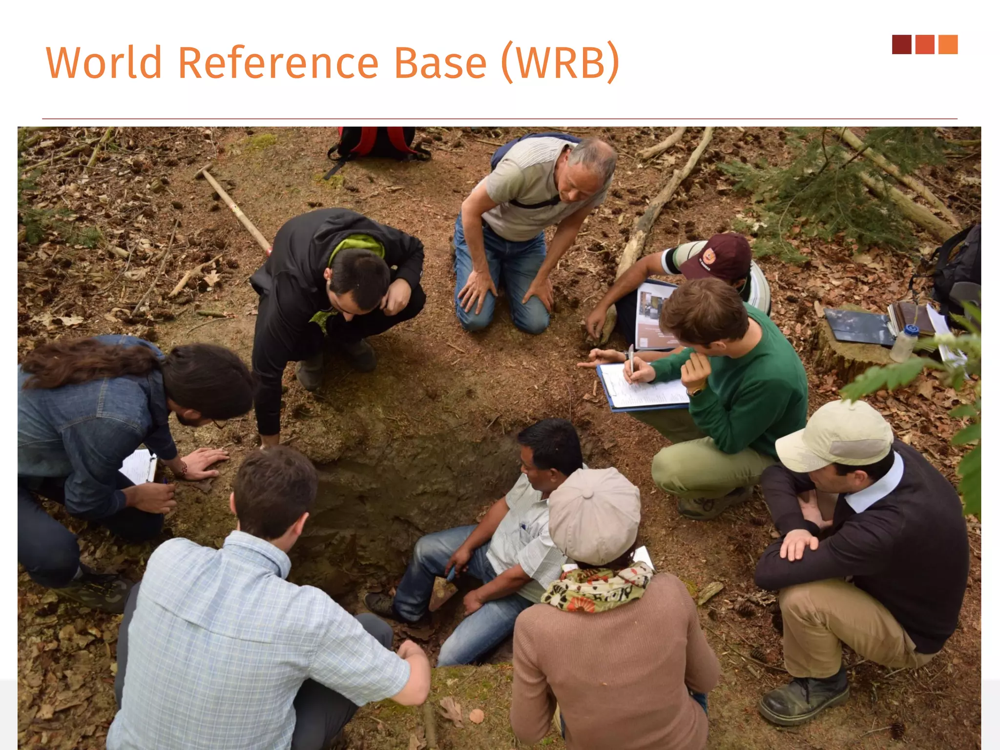 World Reference Base (WRB)
< Insert title of your presentation here >
 