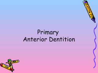 Primary
Anterior Dentition
 