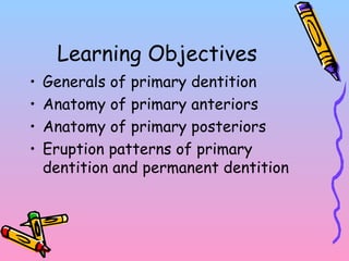 Learning Objectives
• Generals of primary dentition
• Anatomy of primary anteriors
• Anatomy of primary posteriors
• Eruption patterns of primary
dentition and permanent dentition
 