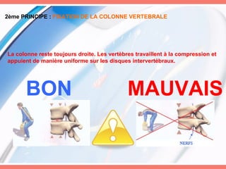 2ème PRINCIPE :  FIXATION DE LA COLONNE VERTEBRALE La colonne reste toujours droite. Les vertèbres travaillent à la compression et appuient de manière uniforme sur les disques intervertébraux. BON MAUVAIS 