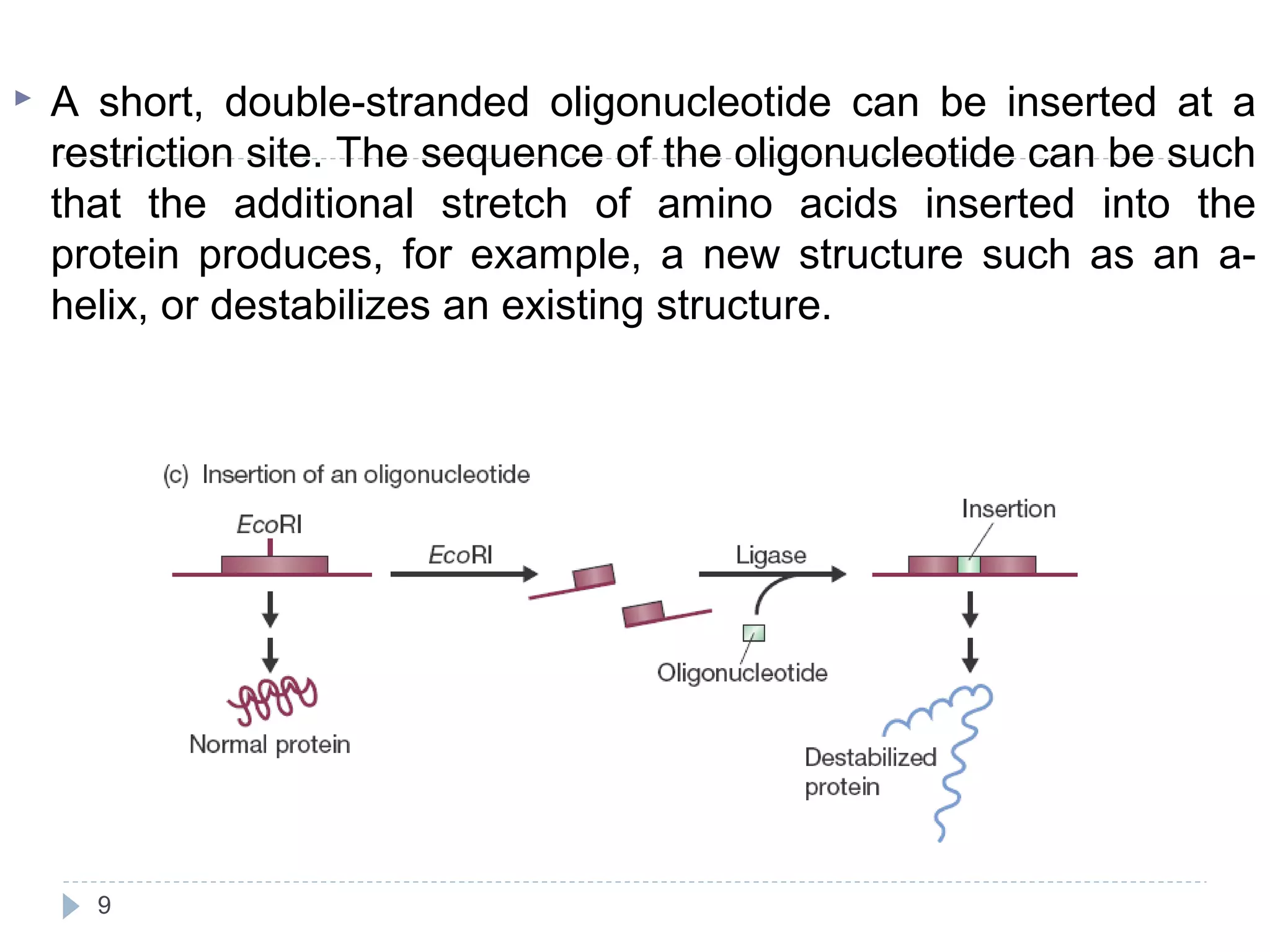 protein engineering and site directed mutagenesis | PPT