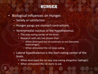 Biological Influences on Hunger.Satiety or satisfaction.Hunger pangs are stomach contractions.Ventromedial nucleus of the hypothalamus.  The stop eating center of the brain. Research with rats has shown that:When destroyed the rat continues to eat (becomes hyperphagic).When stimulated the rat stops eating.Lateral hypothalamus is the start eating center of the brain.  When destroyed the rat may stop eating altogether (aphagic).When stimulated the rat starts to eat.Hunger