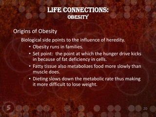 LIFE CONNECTIONS:Obesity Origins of ObesityBiological side points to the influence of heredity.Obesity runs in families.Set point:  the point at which the hunger drive kicks in because of fat deficiency in cells.Fatty tissue also metabolizes food more slowly than muscle does.Dieting slows down the metabolic rate thus making it more difficult to lose weight.