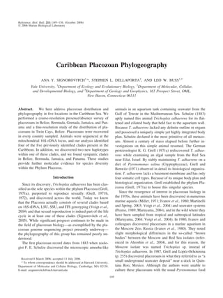 Caribbean Placozoan Phylogeography
ANA Y. SIGNOROVITCH1,
*, STEPHEN L. DELLAPORTA2
, AND LEO W. BUSS1,3
Yale University, 1
Department of Ecology and Evolutionary Biology, 2
Department of Molecular, Cellular,
and Developmental Biology, and 3
Department of Geology and Geophysics, 165 Prospect Street, OML,
New Haven, Connecticut 06511
Abstract. We here address placozoan distribution and
phylogeography in ﬁve locations in the Caribbean Sea. We
performed a coarse-resolution presence/absence survey of
placozoans in Belize, Bermuda, Grenada, Jamaica, and Pan-
ama and a ﬁne-resolution study of the distribution of pla-
cozoans in Twin Cays, Belize. Placozoans were recovered
in every country sampled. Animals were sequenced at the
mitochondrial 16S rDNA locus, and our analysis identiﬁed
four of the ﬁve previously identiﬁed clades present in the
Caribbean. In addition, we discovered two new haplotypes
within one of these clades, and we found sympatric clades
in Belize, Bermuda, Jamaica, and Panama. These studies
provide further molecular evidence for species diversity
within the Phylum Placozoa.
Introduction
Since its discovery, Trichoplax adhaerens has been clas-
siﬁed as the sole species within the phylum Placozoa (Grell,
1971a), purported to reproduce sexually (Grell, 1971b,
1972), and discovered across the world. Today we know
that the Placozoa actually consists of several clades based
on 16S rDNA, LSU, SSU, and ITS genotyping (Voigt et al.,
2004) and that sexual reproduction is indeed part of the life
cycle in at least one of these clades (Signorovitch et al.,
2005). While signiﬁcant progress continues to be made in
the ﬁeld of placozoan biology—as exempliﬁed by the pla-
cozoan genome sequencing project presently underway—
the phylogeography of this group has remained poorly un-
derstood.
The ﬁrst placozoan record dates from 1883 when zoolo-
gist F. E. Schulze discovered the microscopic amoeba-like
animals in an aquarium tank containing seawater from the
Gulf of Trieste in the Mediterranean Sea. Schulze (1883)
aptly named this animal Trichoplax adhaerens for its ﬂat-
tened and ciliated body that held fast to the aquarium wall.
Because T. adhaerens lacked any deﬁnite outline or organs
and possessed a uniquely simple yet highly integrated body
plan, Schulze declared it the most primitive of all metazo-
ans. Almost a century of stasis elapsed before further in-
vestigations on this simple animal resumed. The German
protozoologist K. G. Grell (1971a) rediscovered T. adhae-
rens while examining an algal sample from the Red Sea
near Eilat, Israel. By stably maintaining T. adhaerens on a
diet of Pyrenomonas salina (Cryptophyceae), Grell and
Benwitz (1971) observed in detail its histological organiza-
tion. T. adhaerens lacks a basement membrane and has only
four somatic cell types. Because of its unique body plan and
histological organization, Grell established the phylum Pla-
cozoa (Grell, 1971a) to house this singular species.
Since the resurgence of interest in placozoan biology in
the 1970s, these animals have been discovered in numerous
marine aquaria (Miller, 1971; Ivanov et al., 1980; Martinelli
and Spring, 2003; Voigt et al., 2004) and seawater systems
(Pearse, 1989; Maruyama, 2004), and in the wild where they
have been sampled from tropical and subtropical latitudes
(Maruyama, 2004; Voigt et al., 2004). In 1980, Ivanov and
colleagues discovered placozoans in a marine aquarium in
the Moscow Zoo, Russia (Ivanov et al., 1980). They noted
slight morphological differences in the so-called “brown
bodies” between the Moscow and Red Sea isolates (refer-
enced in Aleoshin et al., 2004), and for this reason, the
Moscow isolate was named Trichoplax sp. instead of
Trichoplax adhaerens. In 1987, Grell and Lope´z-Ochoterena
(p. 255) discovered placozoans in what they referred to as “a
small underground seawater deposit” near a dock in Quin-
tana Roo, Mexico. Although the authors were unable to
culture these placozoans with the usual Pyrenomonas food
Received 8 March 2006; accepted 11 July 2006.
* To whom correspondence should be addressed at Harvard University,
Department of Molecular and Cellular Biology, Cambridge, MA 02138.
E-mail: asignorovitch@mcb.harvard.edu
Reference: Biol. Bull. 211: 149–156. (October 2006)
© 2006 Marine Biological Laboratory
149
 