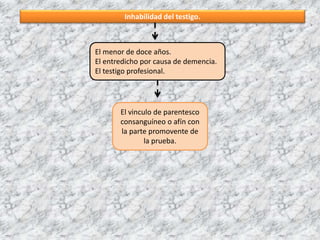 Inhabilidad del testigo.
El menor de doce años.
El entredicho por causa de demencia.
El testigo profesional.
El vinculo de parentesco
consanguíneo o afín con
la parte promovente de
la prueba.
 