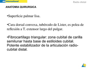 9 radio distal  ao  Dr Miguel Mite 