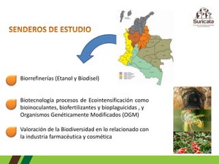 BIOECONOMÍA:  Análisis de Estudio de Caso COLOMBIA 