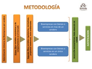 BIOECONOMÍA:  Análisis de Estudio de Caso COLOMBIA 