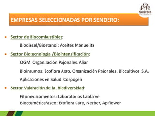 BIOECONOMÍA:  Análisis de Estudio de Caso COLOMBIA 