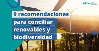 9 recomendaciones
para conciliar
renovables y
biodiversidad
 