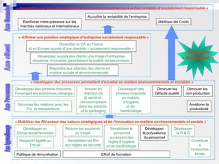 « Apparaître aux yeux des investisseurs comme une entreprise à la fois rentable et socialement responsable »
Renforcer notre présence sur les
marchés nationaux et internationaux
Maîtriser les Coûts
« Affirmer une position stratégique d’entreprise socialement responsable »
Développer auprès des clients une image d’entreprise
citoyenne, innovante, garantissant la qualité de ses produits
Diversifier le CA en France
et en Europe auprès d’une clientèle « socialement responsable »
Répondre aux attentes des clients en
matière sociale et environnementale
« Développer des processus permettant d’exceller en matière environnementale et sociétale »
Diminuer les
Défauts qualité
Améliorer la
productivité
Diminuer les
non production
« Mobiliser les RH autour des valeurs stratégiques et de l’innovation en matière environnementale et sociale »
Développer
la polyvalence
du personnel
Développer un
Climat social favorable
Réduire les accidents
du travail
Développer
la R & D
Politique de rémunération Effort de formation
Développer des
process innovants
en matière
d’hygiène
et de
bactériologie
Sensibiliser le
personnel
au respect des
règles d’hygiène
et de bactériologie
Sensibiliser les RH
aux règles de sécurité
Approche
« Innovation »
Développer des process innovants,
Favorisant les économies d’énergie
Sécuriser les relations avec les
Frs et transporteurs
Innover en
direction de
la santé et
l’environnement
dans les produits
et le packaging
Accroître la rentabilité de l’entreprise
Respect l’égalité au
Travail
Contribuer
à
l’économie
locale
 