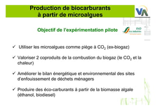 Production de biocarburants
à partir de microalgues
Objectif de l’expérimentation pilote
Utiliser les microalgues comme piège à CO2 (ex-biogaz)
Valoriser 2 coproduits de la combustion du biogaz (le CO2 et la
chaleur)
Améliorer le bilan énergétique et environnemental des sites
d’enfouissement de déchets ménagers
Produire des éco-carburants à partir de la biomasse algale
(éthanol, biodiesel)
 