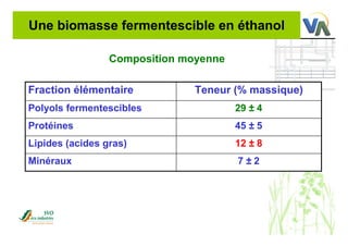 Une biomasse fermentescible en éthanol
Composition moyenne
7 ± 2Minéraux
12 ± 8Lipides (acides gras)
45 ± 5Protéines
29 ± 4Polyols fermentescibles
Teneur (% massique)Fraction élémentaire
 