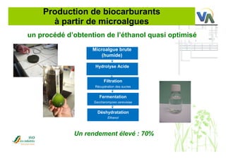 Production de biocarburants
à partir de microalgues
un procédé d’obtention de l’éthanol quasi optimisé
Un rendement élevé : 70%
Microalgue brute
(humide)
Hydrolyse Acide
Filtration
Récupération des sucres
Fermentation
Saccharomyces cerevisiae
Déshydratation
Ethanol
 