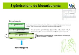 3 générations de biocarburants
microalgues
 