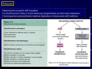 Polmoniti
 Polmoniti

Epatizzazione (a partire dall’essudato)
 Epatizzazione (a partire dall’essudato)
La classificazione clinica èèla più idonea per programmare un intervento terapeutico
 La classificazione clinica la più idonea per programmare un intervento terapeutico
IImicrorganismi potenzialmente implicati dipendono in buona parte dall’ambiente
  microrganismi potenzialmente implicati dipendono in buona parte dall’ambiente
 
