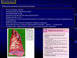 Bronchiectasie
Bronchiectasie
Dilatazioni anomale dei bronchi principali
Dilatazioni anomale dei bronchi principali
--   Tosse ricorrente, emottisi
      Tosse ricorrente, emottisi
--   Grandi quantità di espettorato infetto
      Grandi quantità di espettorato infetto
--   Prevalentemente le basi
      Prevalentemente le basi
--   Infezioni ricorrenti da flore miste (anche gram-)
      Infezioni ricorrenti da flore miste (anche gram-)
--   Dilatazione fino aa5-6 xx
      Dilatazione fino 5-6
--   Infiammazione cronica dei bronchi anomali ililcui epitelio èèsostituito da tessuto di granulazione 
      Infiammazione cronica dei bronchi anomali cui epitelio sostituito da tessuto di granulazione 
     sanguinamento
      sanguinamento
--   Nelle aree meno infiammate frequente metaplasia squamosa
      Nelle aree meno infiammate frequente metaplasia squamosa
--   Estensione processo aacausa di infiammazioni ricorrenti  fibrosi  I. respiratoria
      Estensione processo causa di infiammazioni ricorrenti  fibrosi  I. respiratoria
--   Complicazioni: suppurazione, ascessi, sepsi, ascessi cerebrali, amiloidosi
      Complicazioni: suppurazione, ascessi, sepsi, ascessi cerebrali, amiloidosi
 