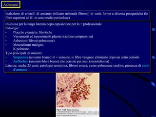 Asbestosi
Asbestosi
 Inalazione di cristalli di amianto (silicato minerale fibroso) in varie forme aadiversa patogenicità (le
  Inalazione di cristalli di amianto (silicato minerale fibroso) in varie forme diversa patogenicità (le
 fibre superiori ad 8m sono molto pericolose)
  fibre superiori ad 8m sono molto pericolose)
 Insidiosa per la lunga latenza dopo esposizione per lo ++professionale
  Insidiosa per la lunga latenza dopo esposizione per lo professionale
 Patologie:
  Patologie:
 --    Placche pleuriche fibrotiche
        Placche pleuriche fibrotiche
 --    Versamenti ed ispessimenti pleurici (azione compressiva)
        Versamenti ed ispessimenti pleurici (azione compressiva)
 --    Asbestosi (fibrosi polmonare)
        Asbestosi (fibrosi polmonare)
 --    Mesotelioma maligno
        Mesotelioma maligno
 --    K polmone
        K polmone
 Tipo principali di amianto:
  Tipo principali di amianto:
 --    Serpentina (amianto bianco) ilil++comune, le fibre vengono eliminate dopo un certo periodo
        Serpentina (amianto bianco)       comune, le fibre vengono eliminate dopo un certo periodo
 --    Anfibolico (amianto blu eebruno) che persiste per anni (mesotelioma)
        Anfibolico (amianto blu bruno) che persiste per anni (mesotelioma)
 Latenza: anche 25 anni; patologia restrittiva, fibrosi estesa, cuore polmonare tardivo; presenza di corpi
  Latenza: anche 25 anni; patologia restrittiva, fibrosi estesa, cuore polmonare tardivo; presenza di corpi
       d’amianto
        d’amianto
 