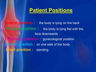 Anatomy introduction[1] | PPTX