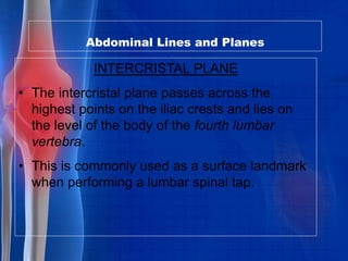 Anatomy introduction[1] | PPTX