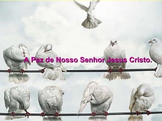 A Paz de Nosso Senhor Jesus Cristo. 