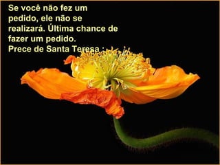Se você não fez um
pedido, ele não se
realizará. Última chance de
fazer um pedido.
Prece de Santa Teresa :
 
