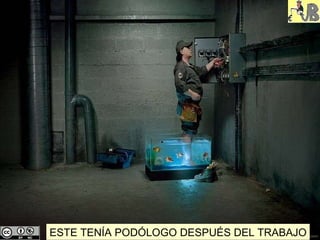 ESTE TENÍA PODÓLOGO DESPUÉS DEL TRABAJO 