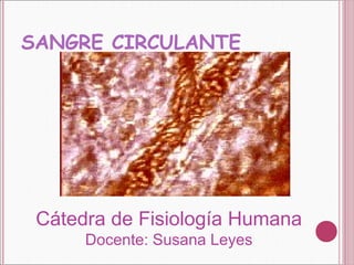 SANGRE CIRCULANTE




 Cátedra de Fisiología Humana
      Docente: Susana Leyes
 