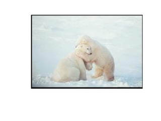 Liderazgo empresarial