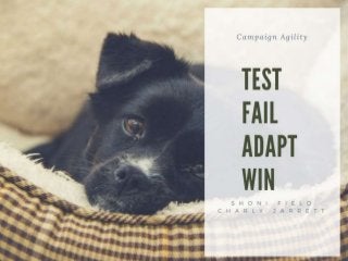 Test, Fail, Adapt, Win: Increase Your Chances of a Successful Campaign – Shoni Field + Charly Jarrett, BC SPCA
