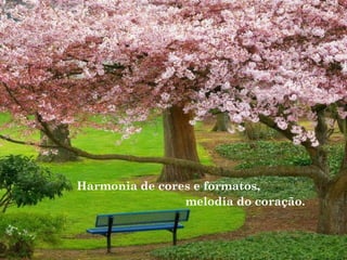 Harmonia de cores e formatos,
melodia do coração.
 