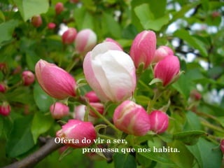 Oferta do vir a ser,
promessa que nos habita.
 