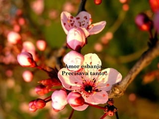 Amor esbanja...
Precisava tanto?
 